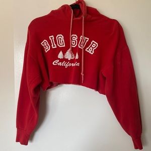 Vintage Big Sur Cropped hoodie